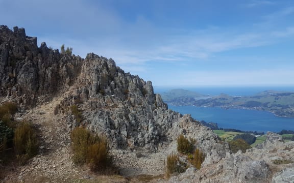Otago Peninsula