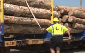 Logs loaded on railway line.