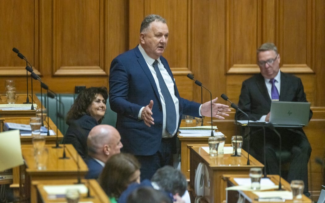 Shane Jones during Question Time on Tuesday