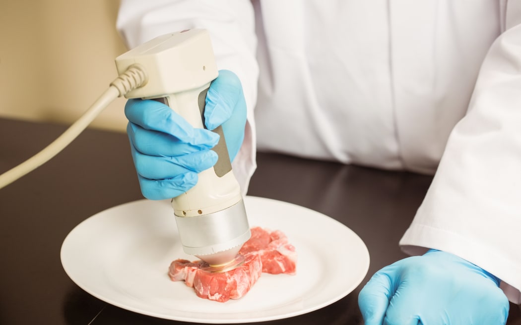 Food scientist using device on meat at the university