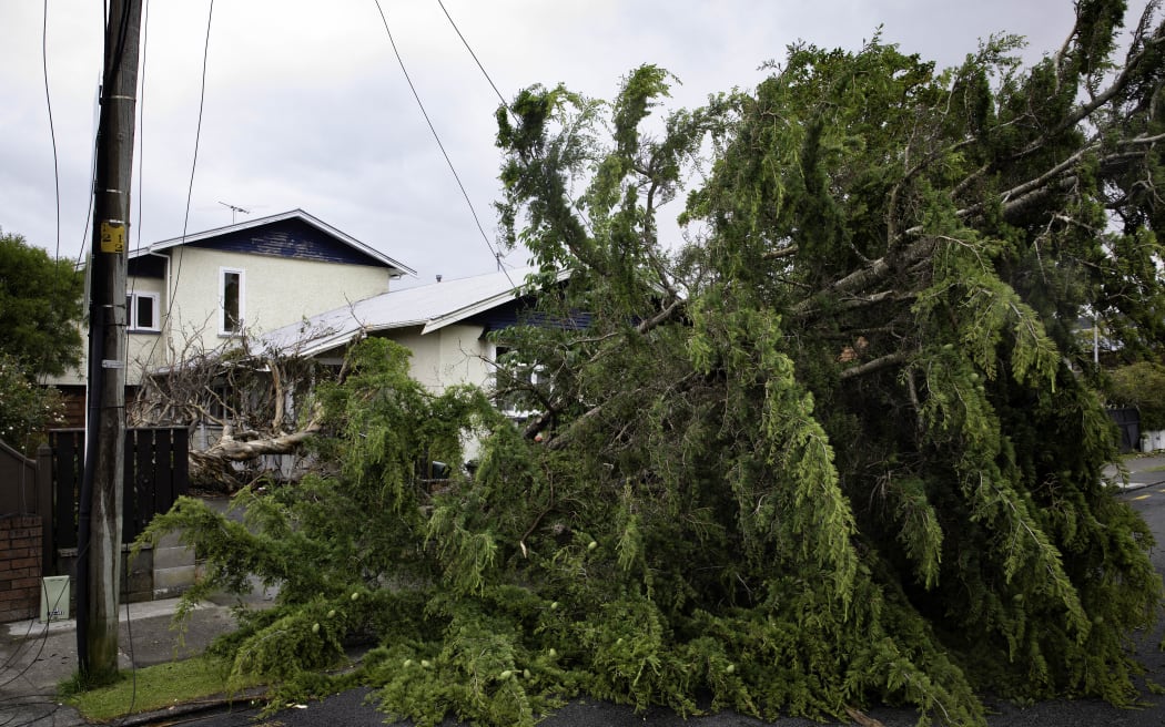 A severe thunderstorm brought down trees on a property at Kings Crescent, Lower Hutt, on 12 December, 2023.