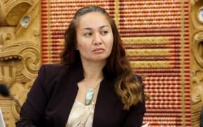 Green MP Marama Davidson in the Maori Affairs Select Committee 2017.
