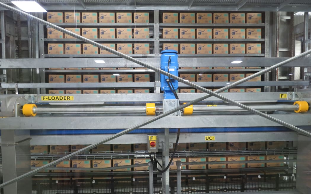 Twenty-kilogram boxes of cream cheese at Fonterra's Darfield factory. 100 tonnes are made each day for Asian markets.