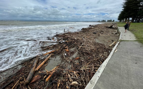 Forestry slash on the beach at Gisborne after Cyclone Gabrielle.