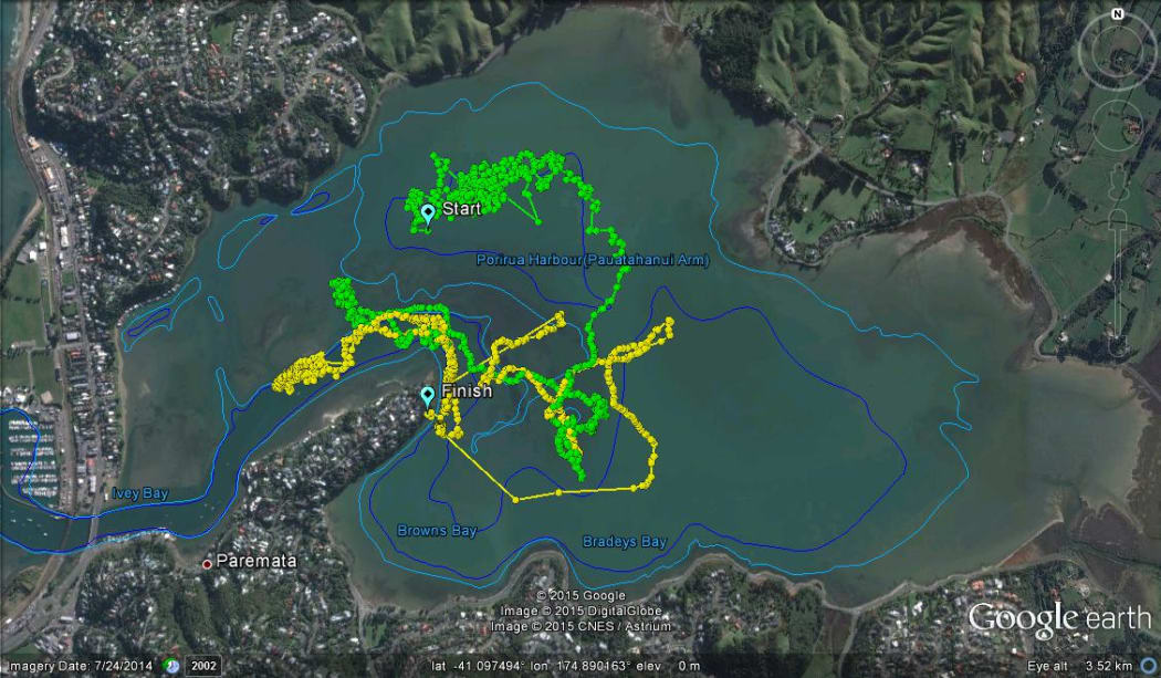 This track covers two days, and shows a male rig shark moving around Pauatahanui Inlet. The track ended when a fisher snagged the GPS tag's tether causing it to break.