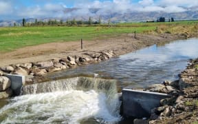 A concrete weir has been installed in Thomsons Creek to protect a native fish.