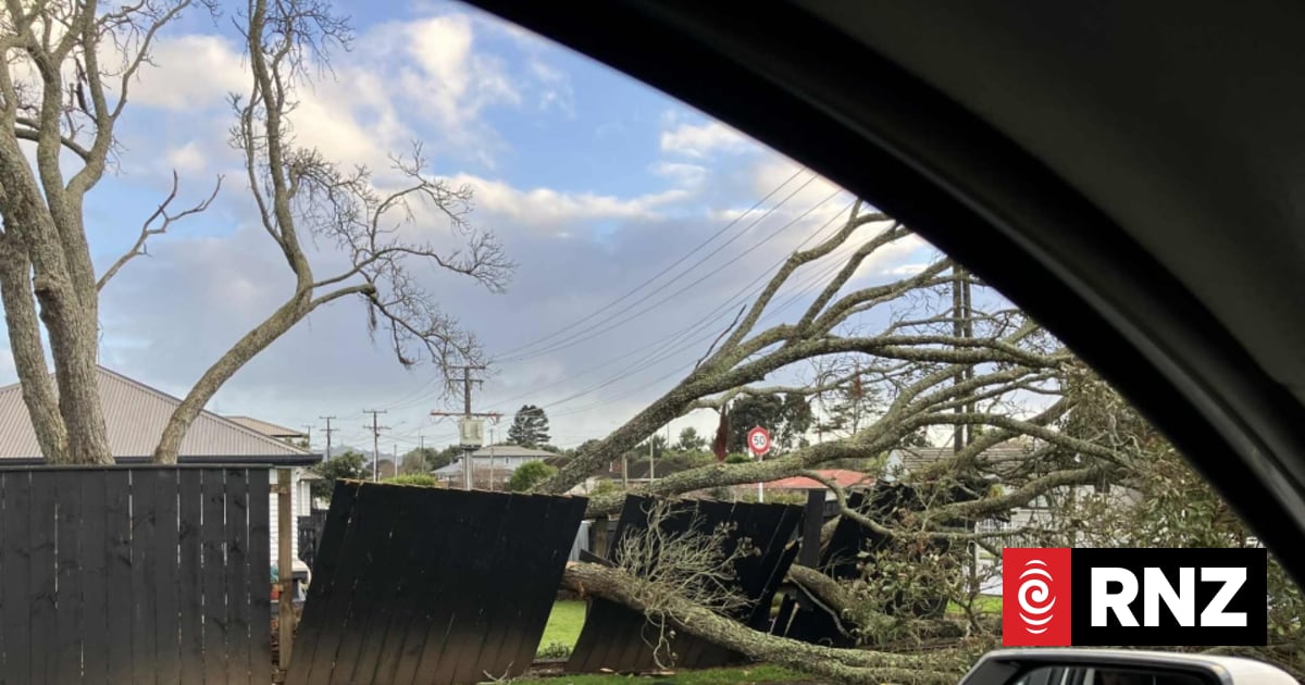 Toppled trees, fallen power lines overnight as strong winds and rain ...