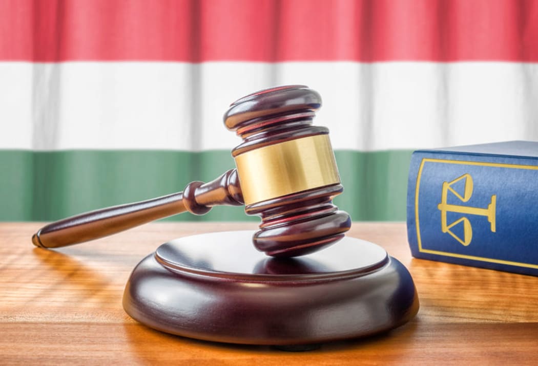 A Hungarian gavel and law book
