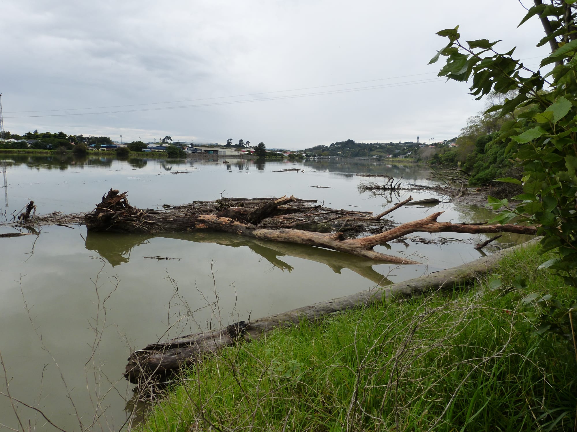 Views of the Whanganui River from the Putiki bank where the kura is located.