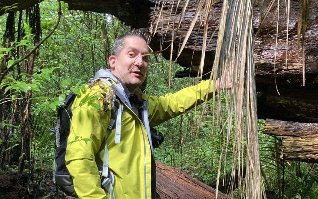 Bevan Weir looking to camera while pointing at a fallen log during the fungal foray 2023, in Maungatautari / Sanctuary Mountain.