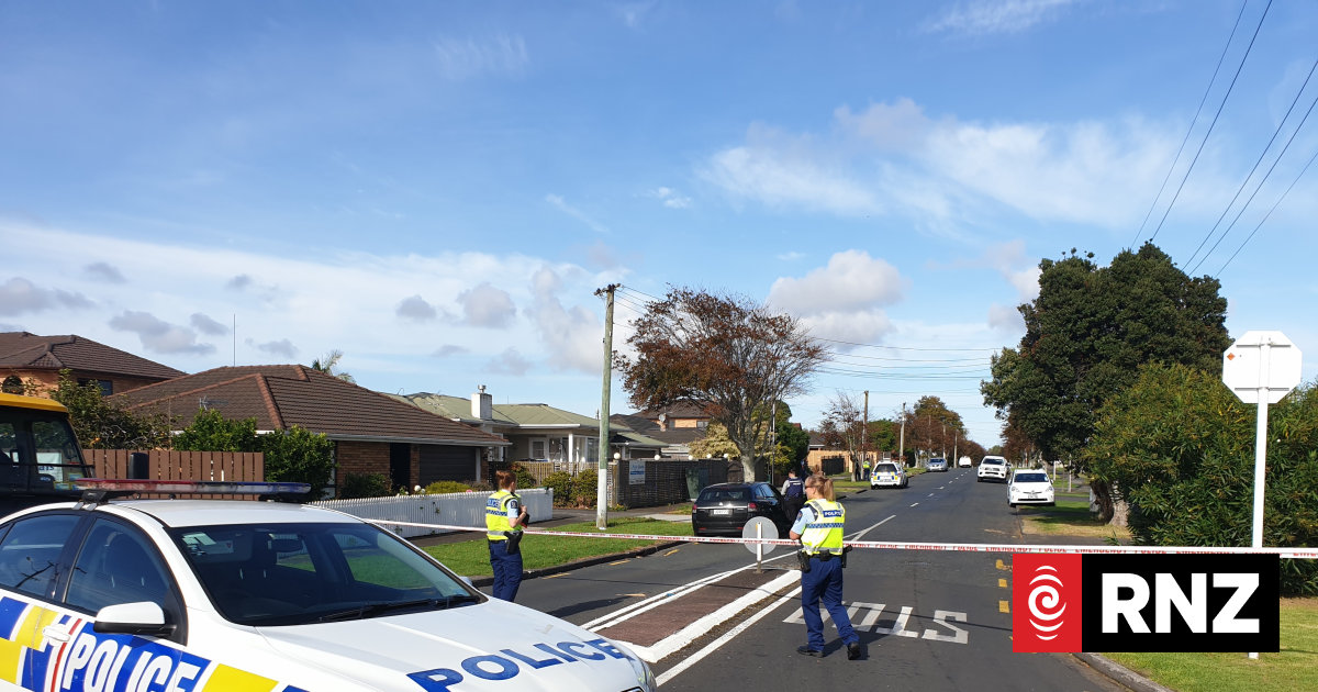 Machete-wielding man shot dead by police in Papatoetoe | RNZ