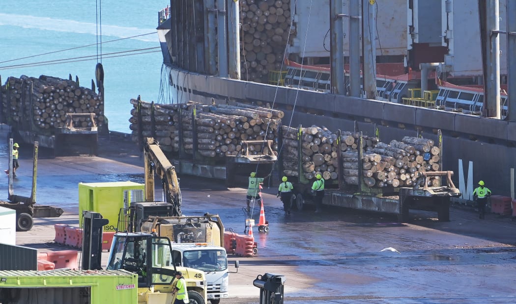 Only four of 40 stevedores were vaccinated against Covid-19 in the first week of the Gisborne border rollout, but Hauora Tairāwhiti says more have been vaccinated since.