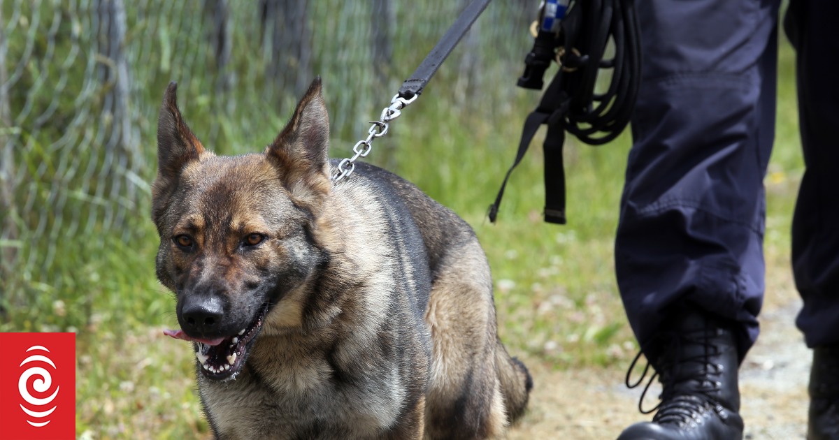 Police officer and dog injured after shards of glass thrown during arrest
