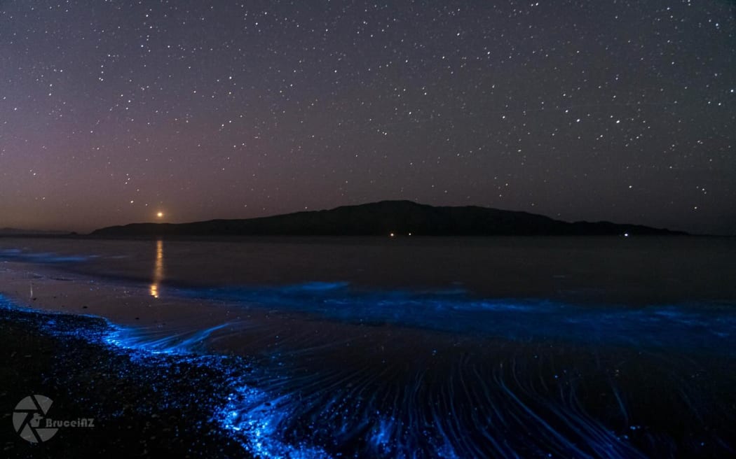 Bioluminescence light show on  Paraparaumu beach