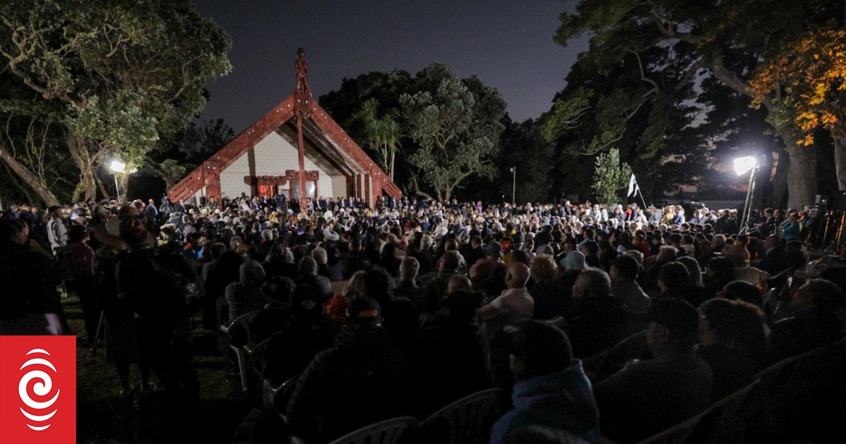 'Sustain this resistance': Waitangi activists urge momentum and unity - Vimarsana News