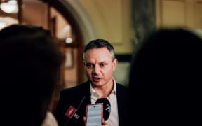 Green Party co-leader James Shaw
