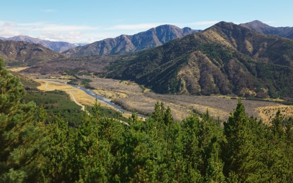 Environment | RNZ News