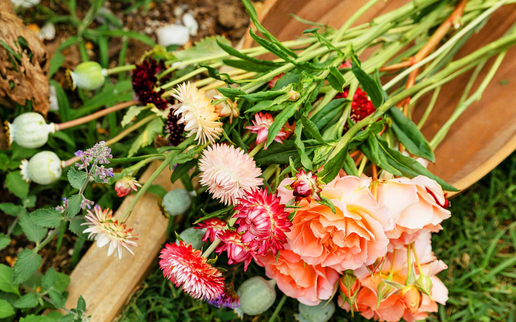 The Floral Dream: A Guide to Growing Cut Flowers in New Zealand by Olivia McCord (Potton & Burton) $49.99 RRP