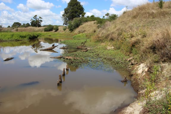 4n0nkqm gallery image 64048