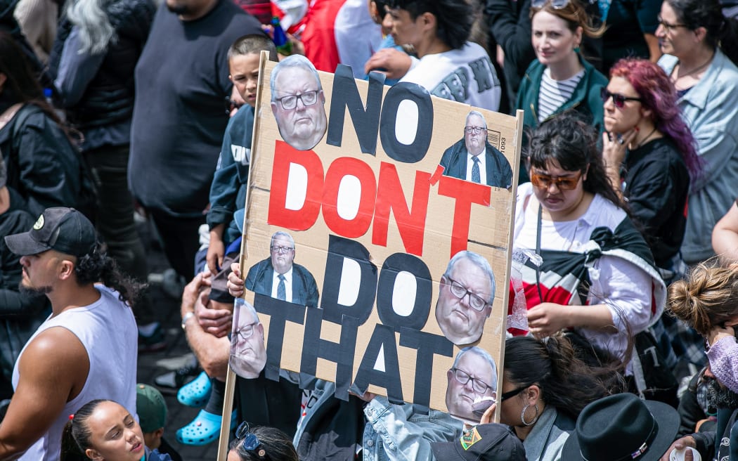 Scenes from the 2024 Hikoi to Parliament in protest against the treaty principles bill.
