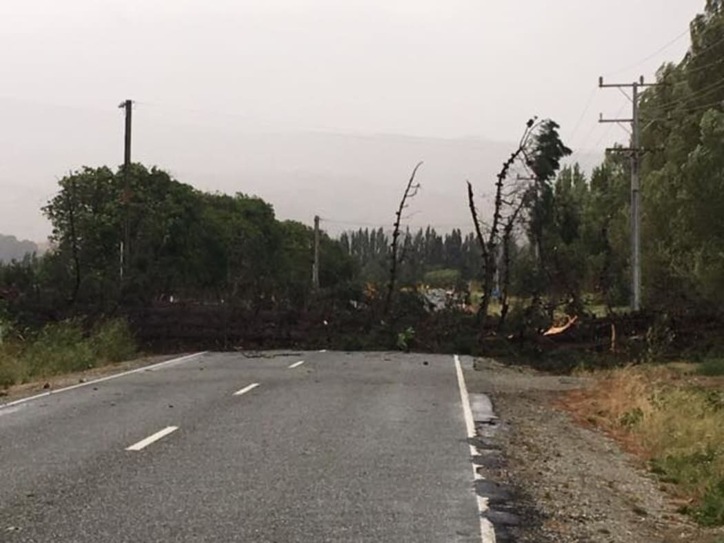 Tree down near Queenstown