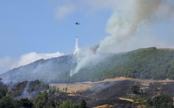 The blaze on the hills above Nelson has now been brought under control.