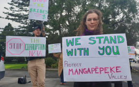 Iselde de Boam against the $200 million Mt Messenger bypass roading project.