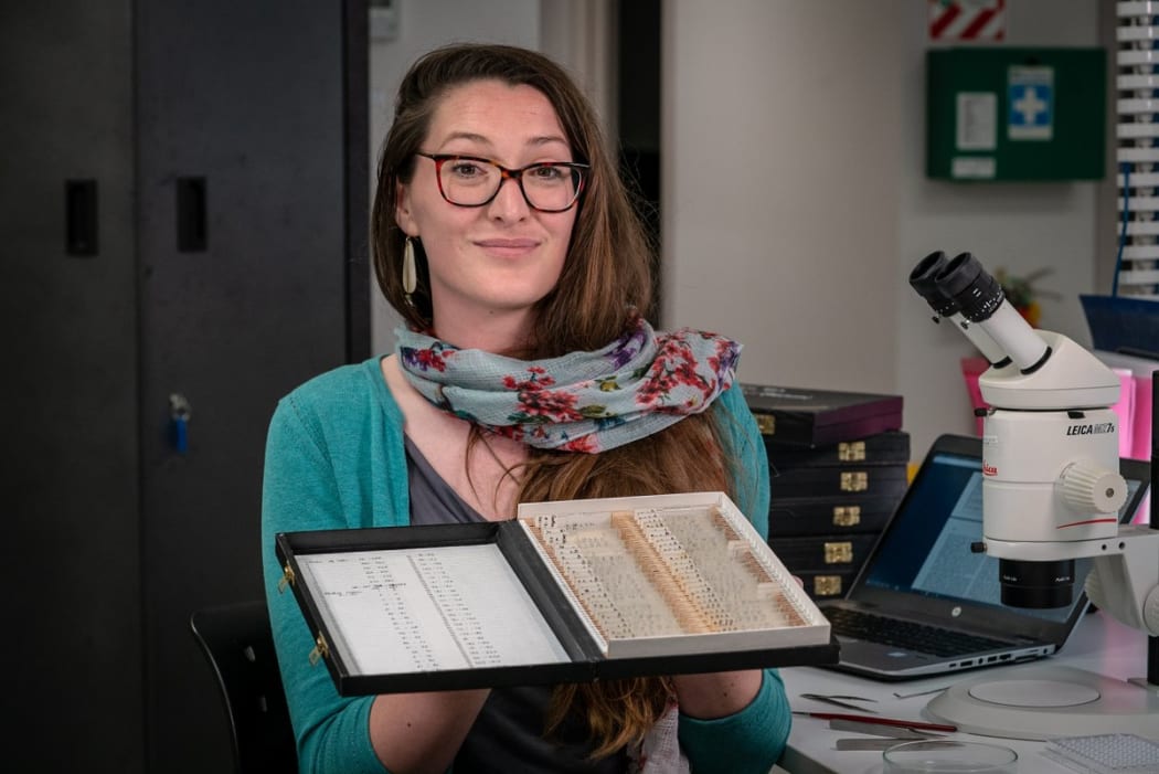 Dr Eimear Egan with boxes of fish ear bones collected in the 197os that she has been using to analyse past climate.