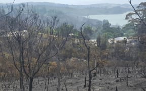 The charred remains of the Wilderland organic commune beside the Whitianga estuary,