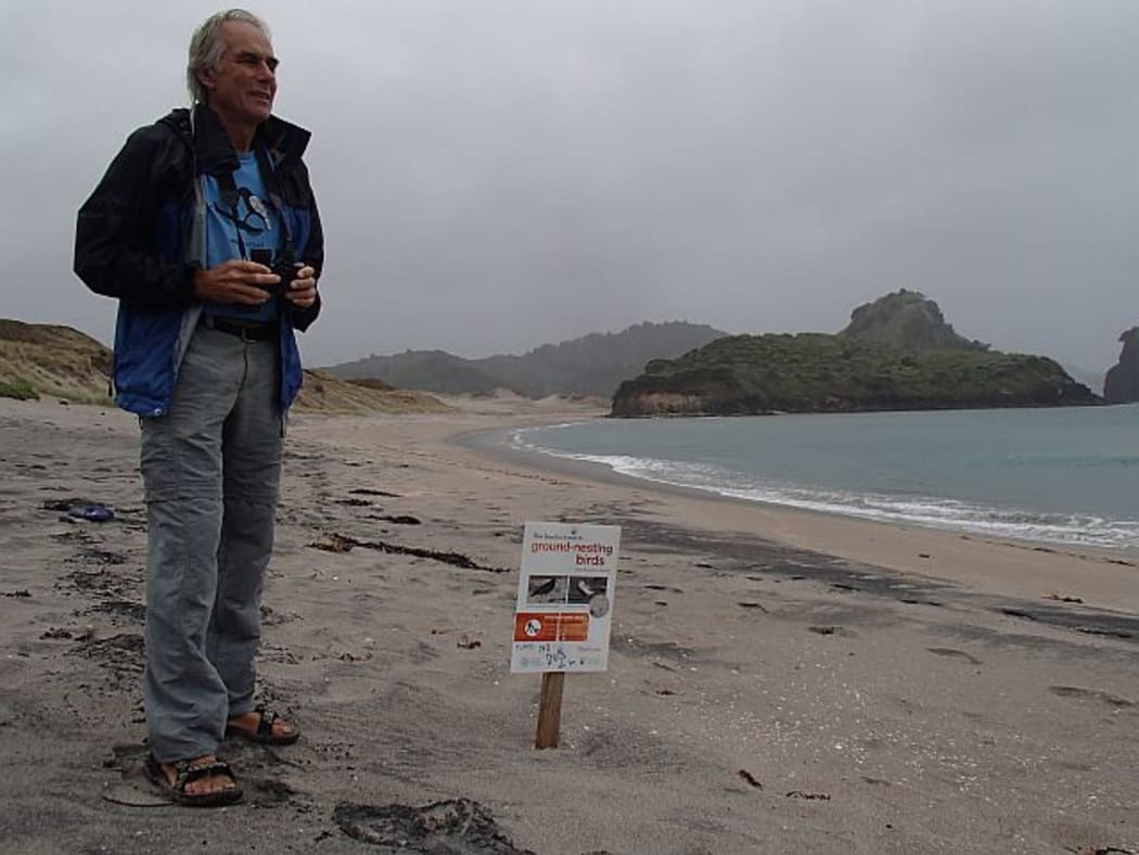 Botanist John Ogden takes a keen interest in the wildlife around his Great Barrier Island home, especially the New Zealand dotterels at Awana Bay.