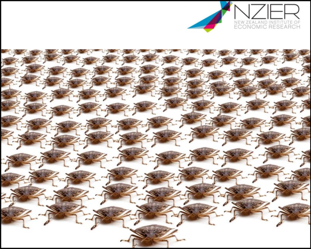 Cover of the 2017 NZIER report into the brown marmorated stink bug