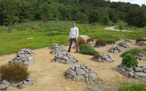 Malcolm Rutherford, curator of the 1769 Garden, stands amongst rock mounds arranged in a quincunx layout. Each mound is home to a rare or unusual plant, including short-lived herbs.