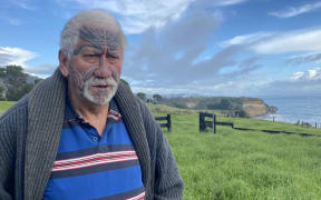 Haumoana White says Taranaki's northern border should be moved to match original Māori boundaries.