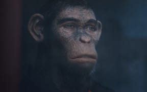 Robbie Williams' biopic 'Better Man' depicts the British pop star as a CGI ape.