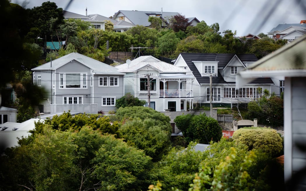 Houses in NZ