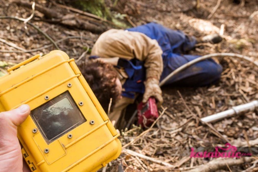 Researcher using a burrow scope to look in on a nesting Westland Petrel