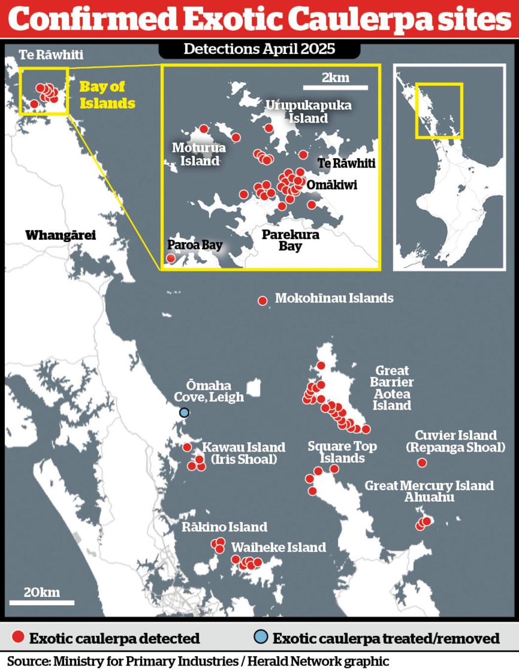 Invasive exotic caulerpa seaweed now covers the equivalent of 2,425 rugby fields in more than 90 sites along the upper North Island's coastline