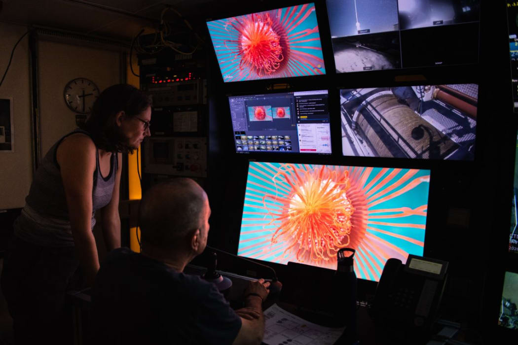 Dr Nerida Wilson in the Falkor control room discovering a rare deep see hydroid at 2497 metres.