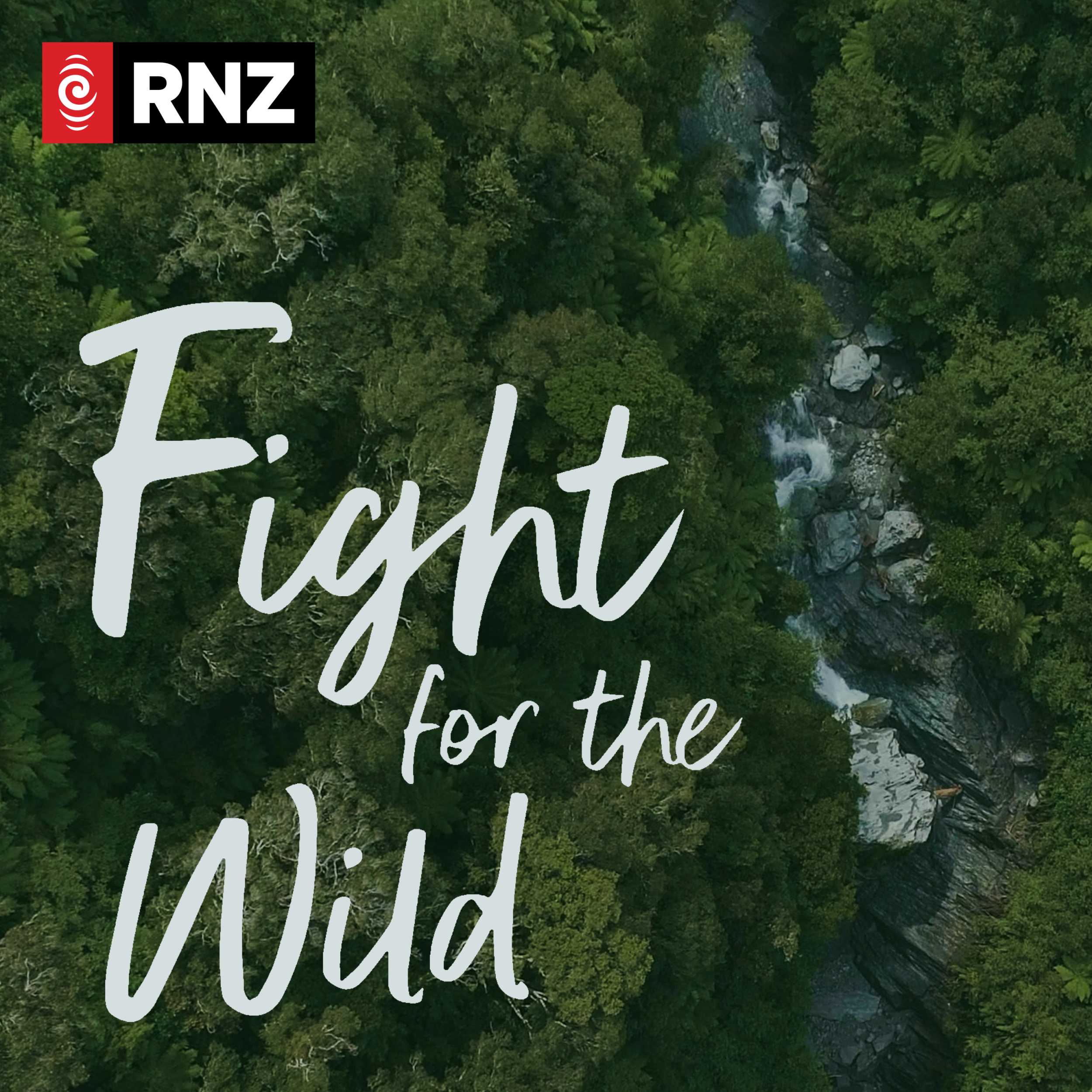 Fight for the Wild 04 | What's in it for us?