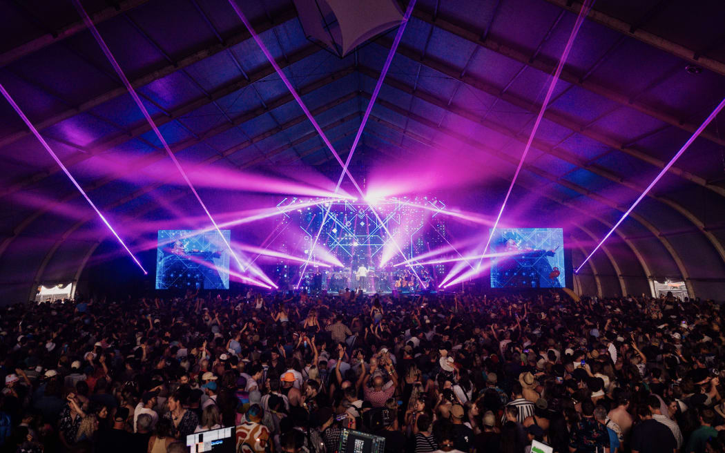 A crowd of 35,000 converged on Hagley Park for this year's Electric Avenue festival