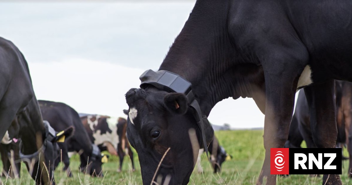 Agriculture industry slow to take up new AI tech