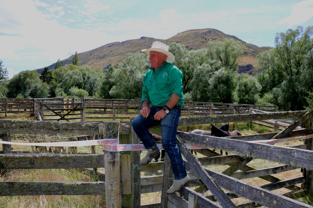 Lyndon 'Linny' Morris at the St James Horse Sale