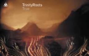 Trinity Roots – True album cover