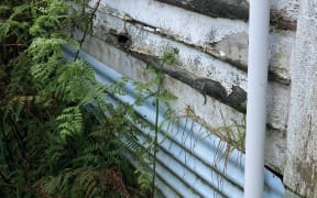 A landlord who rented a property that was "never intended for anyone to live in" to his sister-in-law has been told to pay $5900 in exemplary damages.