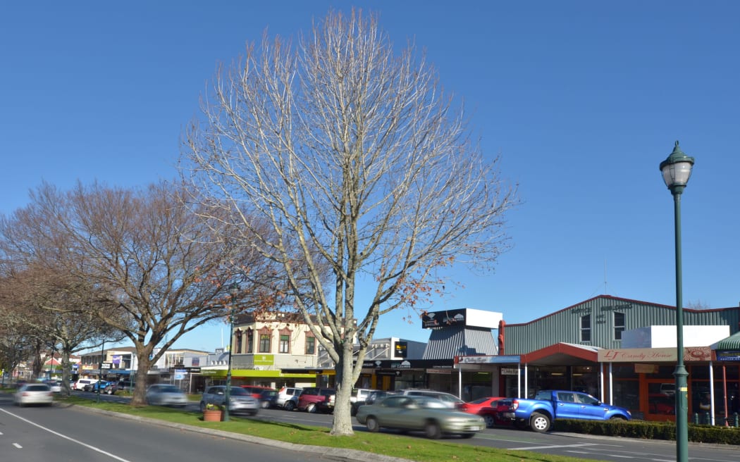 Cambridge, Waikato - pic taken in June 2015.