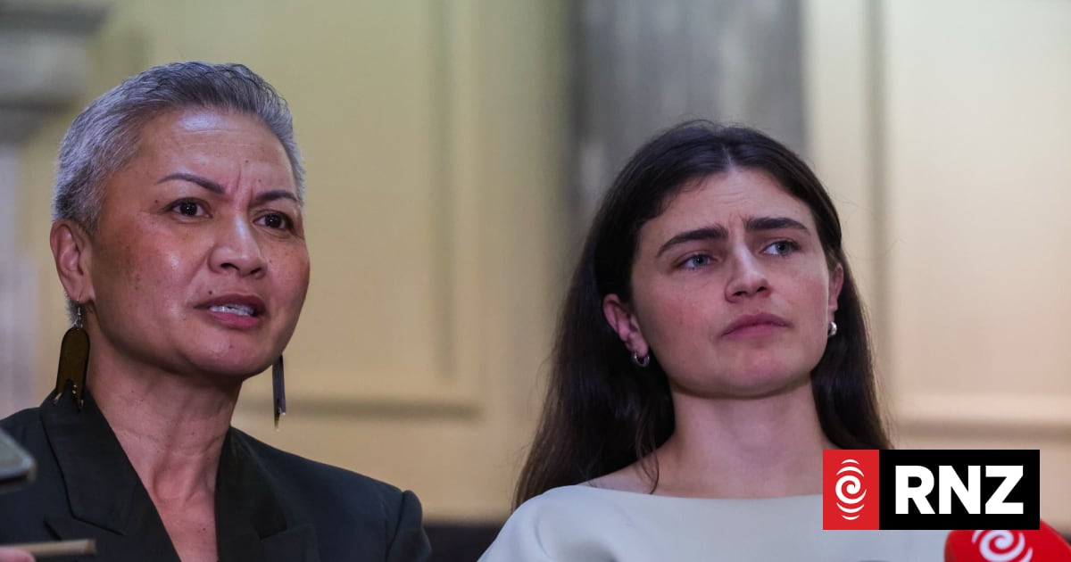 Green Party seeks to cap political donations, stop companies donating