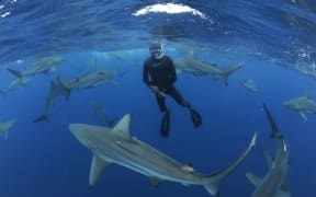Philip White has had a passion for the ocean since he was a young boy.