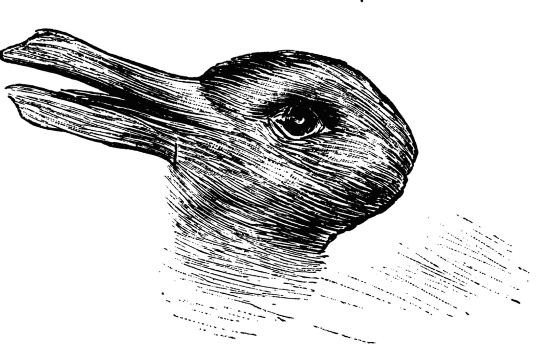 Tricking the mind - what do you see first?
