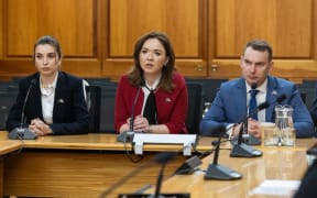 A delegation of Ukrainian MPs, led by Galyna Mykhailiuk, brief the Foreign Affairs Select Committee.