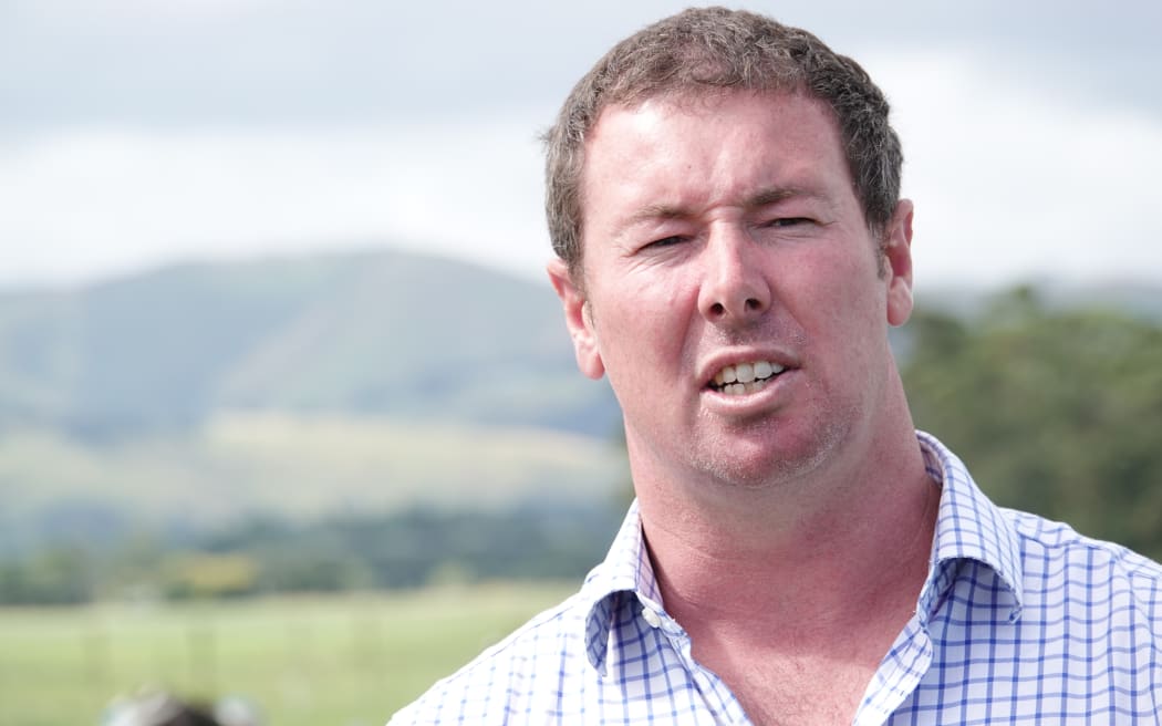 Dannevirke dairy farmer Thomas Read has been using plantain for several years, and is impressed with the results.